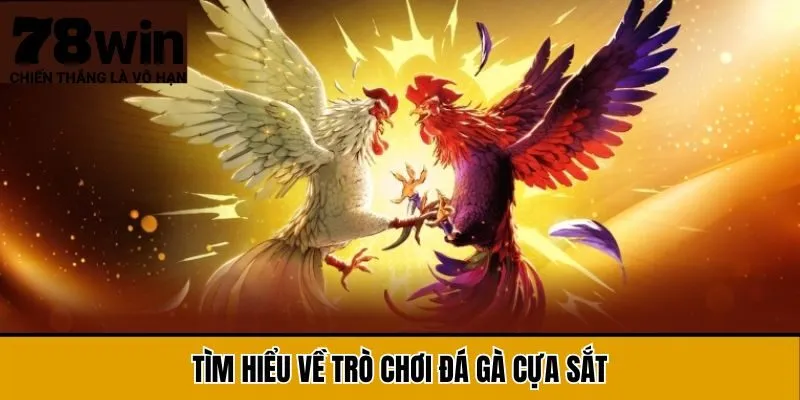 Tìm hiểu về trò chơi đá gà cựa sắt