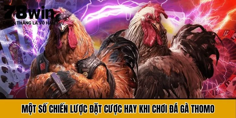 Một số chiến lược đặt cược hay khi chơi đá gà Thomo